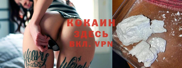 ПСИЛОЦИБИНОВЫЕ ГРИБЫ Ельня