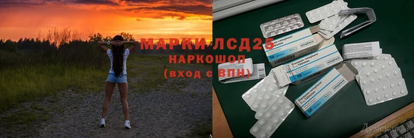 ПСИЛОЦИБИНОВЫЕ ГРИБЫ Ельня