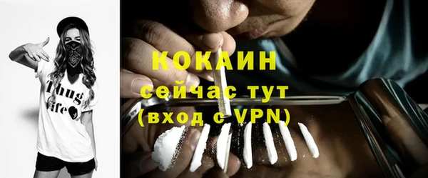 ПСИЛОЦИБИНОВЫЕ ГРИБЫ Ельня