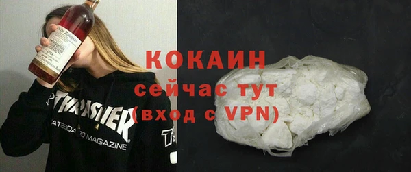 стаф Дмитровск