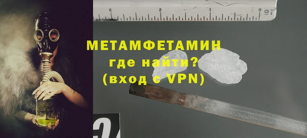 ПСИЛОЦИБИНОВЫЕ ГРИБЫ Ельня