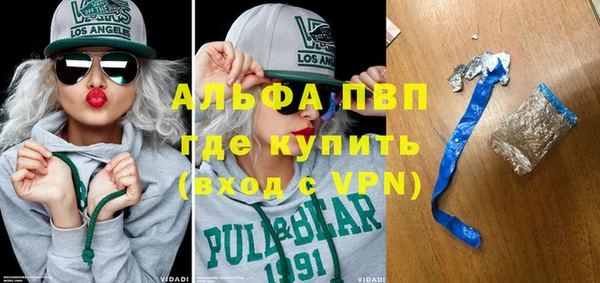 ПСИЛОЦИБИНОВЫЕ ГРИБЫ Ельня