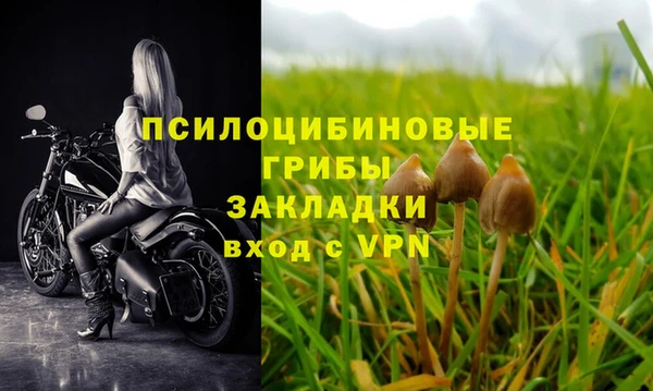 ПСИЛОЦИБИНОВЫЕ ГРИБЫ Ельня