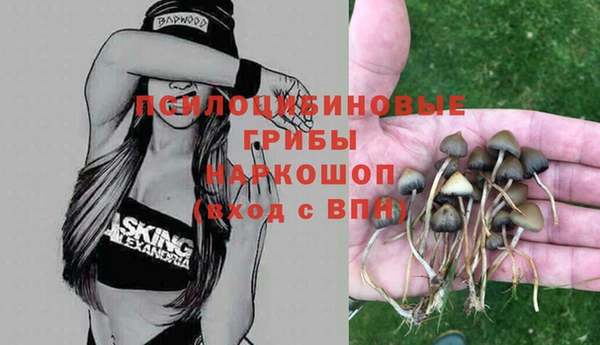 MDMA Premium VHQ Елабуга