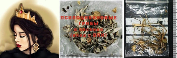 ешки Елизово