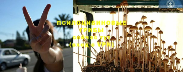 ешки Елизово