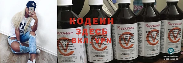 ПСИЛОЦИБИНОВЫЕ ГРИБЫ Ельня
