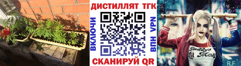 Купить закладки  Зуевка  Дистиллят ТГК вейп с тгк 