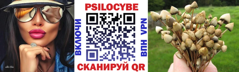 Псилоцибиновые грибы прущие грибы  Купить закладки  Зуевка 